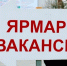 Центр занятости приглашает тайшетцев 25 апреля на ярмарку вакансий - ИА Тайшет24