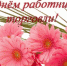 Уважаемые труженики и ветераны сферы торговли! - Тайшетский район