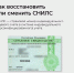 Как восстановить или сменить СНИЛС? - ИА Тайшет24