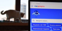 Россиян предупредили о схеме мошенников со взломом аккаунта на «Госуслугах» - ИА Тайшет24