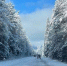 Иркутский гидрометцентр — о погоде на 24 ноября - ИА Тайшет24
