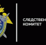 Следователи установили обстоятельства гибели 17-летней девушки, искусанной свиньями в Красноярском крае (18+) - ИА Тайшет24