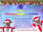 Жителей Тайшетского района приглашают к участию в «Новогоднем карнавале питомцев»