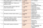 Как жители Тайшетского района будут праздновать Новый год (0+)