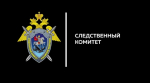 В Тайшетском районе подростки избили сверстника и сняли это на видео (18+)