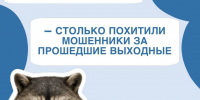 Ещё 21 миллион рублей отдали жуликам доверчивые жители Иркутской области - ИА Тайшет24