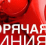 "Горячая линия" по противодействию нелегальной занятости в МО "Тайшетский район" - Тайшетский район