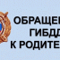 Сотрудники региональной Госавтоинспекции обращаются к родителям! - Тайшетское городское поселение