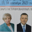 Предварительные итоги выборов Губернатора Иркутской области - Тайшетское городское поселение