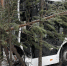 В Иркутской области столкнулись внедорожник и два автобуса, есть пострадавшие - ИА Тайшет24