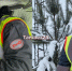 Путин наградил железнодорожников: двое тайшетцев получили медали за развитие отрасли - ИА Тайшет24