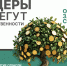 image-15-01-26-11-55.png - Тайшетский район