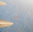 DSCN0378 - ИА Тайшет24