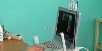 IMG - ИА Тайшет24