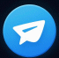 Выборы-2026. Telegram официально допустили для агитации - ИА Тайшет24