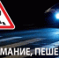 Госавтоинспекция информирует о проведении профилактического мероприятия «Внимание, пешеход!» - Тайшетский район